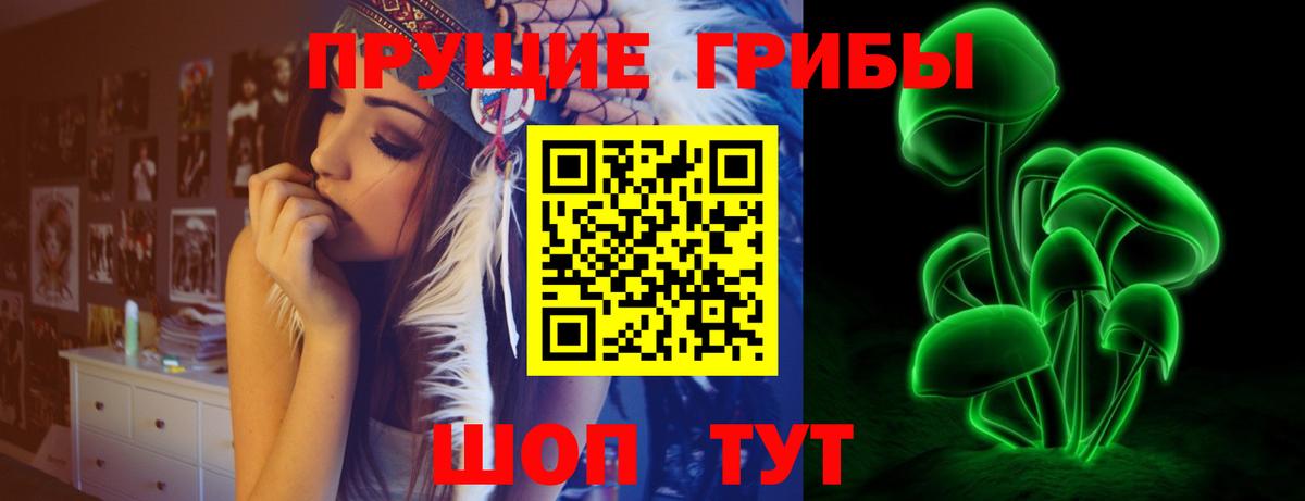 Псилоцибиновые грибы Magic Shrooms  Вход с VPN  Михайловск  Псилоцибиновые грибы Psilocybine cubensis 